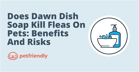 Does Dawn Dish Soap Kill Fleas on Pets: Benefits and Risks