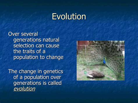 Evolution Environmental Science 的图像结果