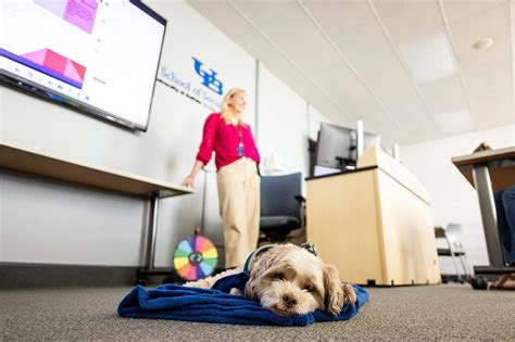 Course teaches UB MSW students how to incorporate dogs, other animals ...