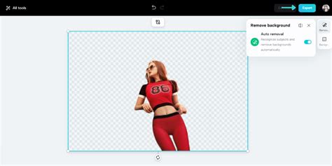 Example No Background 的图像结果