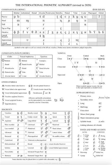Image result for IPA Explained