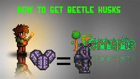 How to get Beetle husk for beetle armour in Terraria 1.4.3 - YouTube