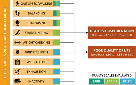 Scale Of Survival
