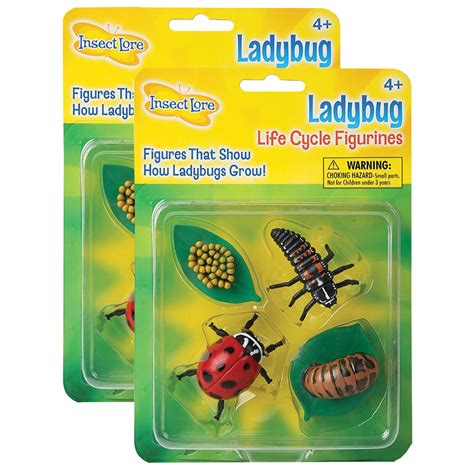 Ladybug Life Cycle Stages, 4 Per Set, 2 Sets – Sharper Production Line