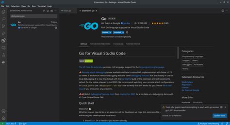 Image result for vs Code Visual Go