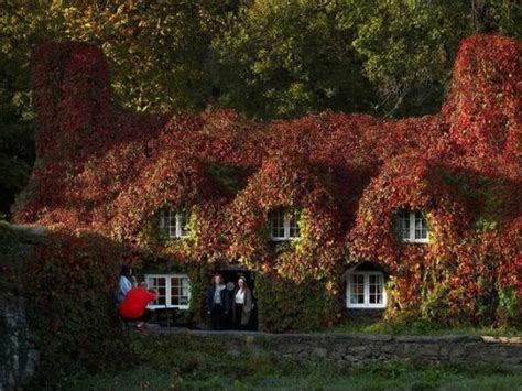 Stunning Pictures That Capture Autum In All Its jaw-Dropping Glory