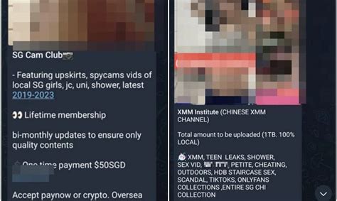 Telegram channels offer explicit sex videos, photos for a fee in similar vein to SG Nasi Lemak ...