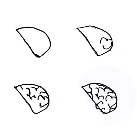 Tutorial Lobe 的图像结果