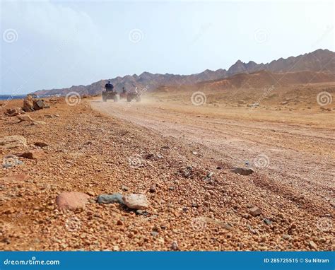Sinai Peninsula Desert