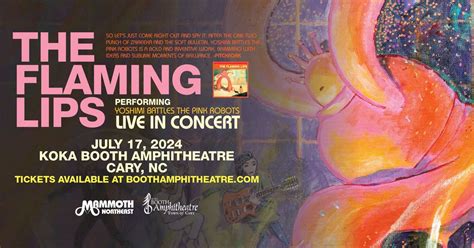 The Flaming Lips Performing Yoshimi Battles The Pink Robots, Booth ...