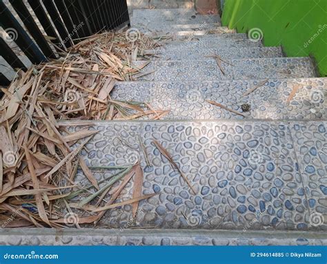 Stairs dirty with leaves stock image. Image of tree - 294614885