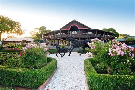 Well Written Stars With Six-Length Runaway in Karaka Millions 3YO | New Zealand Bloodstock ...