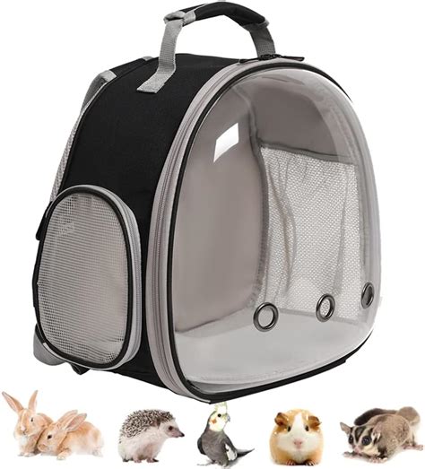Buy Guinea Pig Backpack, Space Capsule Bubble Window Small Animal ...