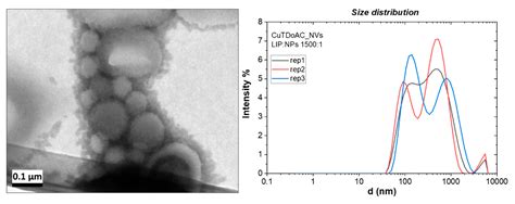 Cu Nanoparticle-Loaded Nanovesicles with Antibiofilm Properties. Part I ...