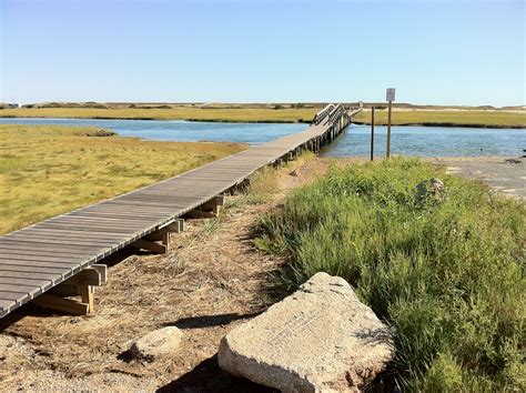 sandwich ma boardwalk - Explored tidal salt marshes on the way to the ...