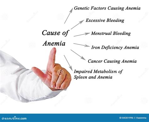 Anemia In The Older Adult 10 Common Causes What To Ask