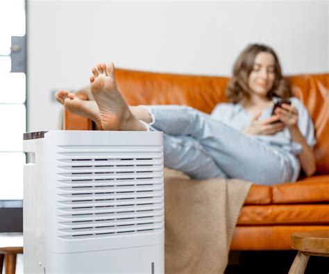 Dehumidifier Smells Musty?