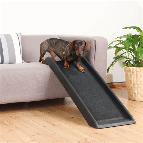 Dachshund Stairs Ramp Slide