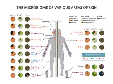 Image result for Microarray eQTL