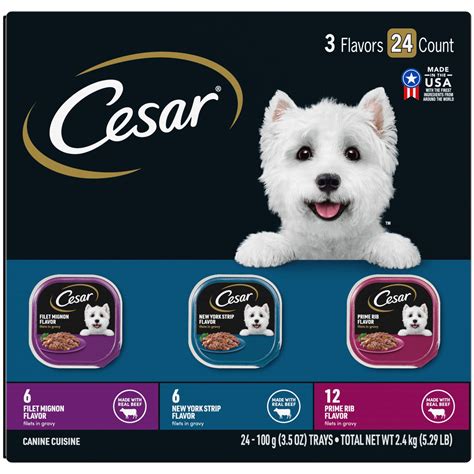CESAR Adult Soft Wet Dog Food Filets in Gravy Variety Pack, Filet ...