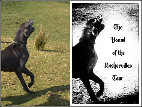 Howling Hounds Of Baskerville