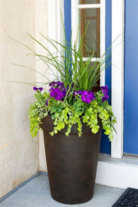 Tall Flower Pots - Ideas on Foter