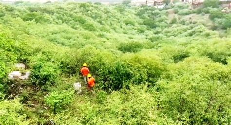 Free Photo: SDRF teams engaged in rescue operation at Amer Fort after ...