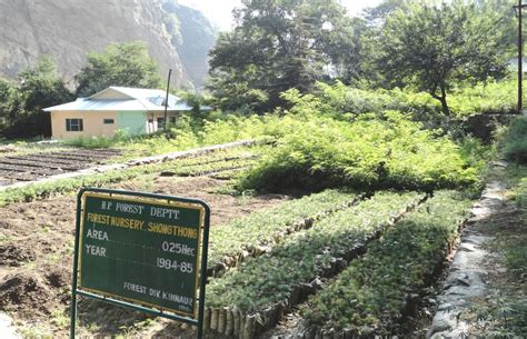Himalayan Forest Research Institute