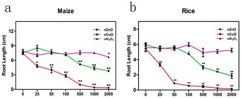 Assessment of the Phytotoxicity of Metal Oxide Nanoparticles on Two ...