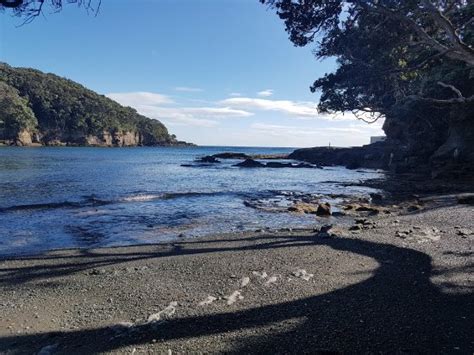 Hidden ocean haven - Reviews, Photos - Goat Island Marine Reserve ...