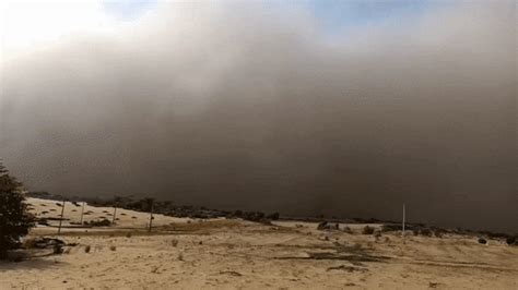 Rajasthan Weather Update: अगले चार दिन चलेगी धूल भरी हवाएं, औसत तापमान ...