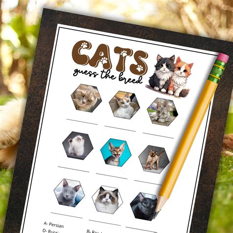 Guess The Cat Breed – Party Prints Press