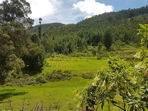 Resort | Premium Accommodations & Farm Experiences