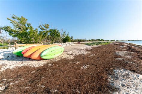 The 10 Best Places to Go Kayaking in Fort Lauderdale