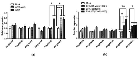 F-Box Gene D5RF Is Regulated by Agrobacterium Virulence Protein VirD5 ...