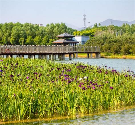 溪流贯全谷，繁花点缀旁——石家庄“旅游十佳”漫山花溪谷 - 每日头条