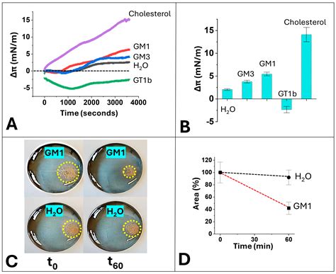 Cholesterol-Dependent Serotonin Insertion Controlled by Gangliosides in ...