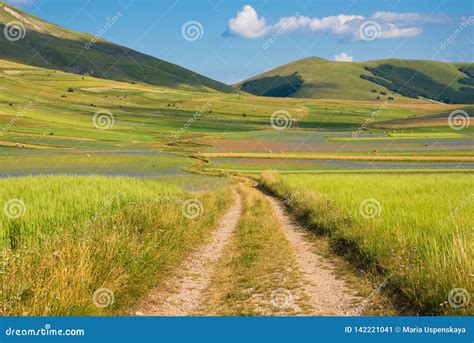 Countryside Road among Green Fields in Summer Stock Image - Image of ...
