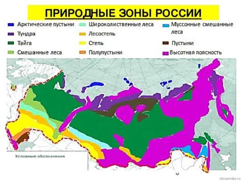 Природные зоны россии 4 класс карта с названиями в впр по окружающему ...