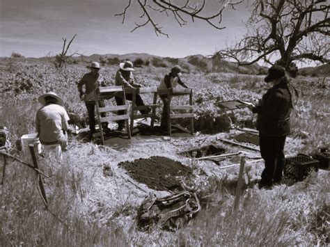 Unveiling the Rich Hierarchy of Native American Tribes