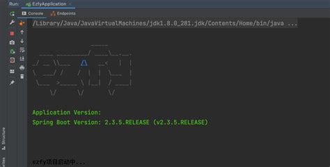 Java Spring Banner 的图像结果