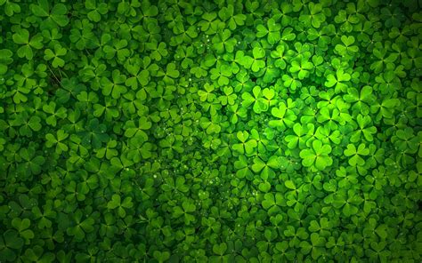 Saint Patricks Day Wallpapers - 4k, HD Backgrounds on WallpaperBat