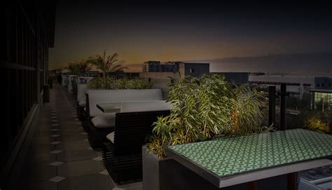 St. Petersburg Rooftops | Sparrow St. Pete | Official Site