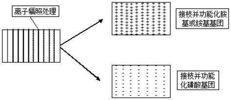 Image result for Computer Science Coding Python