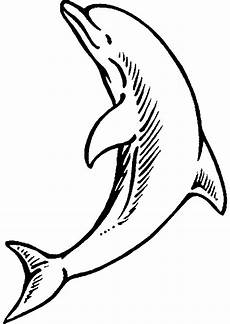 malvorlagen delfine zum drucken delfin ausmalbild aausmalbilder club malvorlagen delfine zum drucken delfin ausmalbild aausmalbilder club