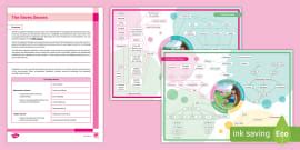 Identifying Sensory Needs: How Do the Senses Work? - Twinkl