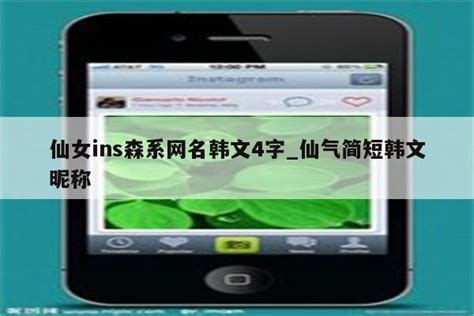 仙女ins森系网名韩文4字_仙气简短韩文昵称 - INS相关 - APPid共享网