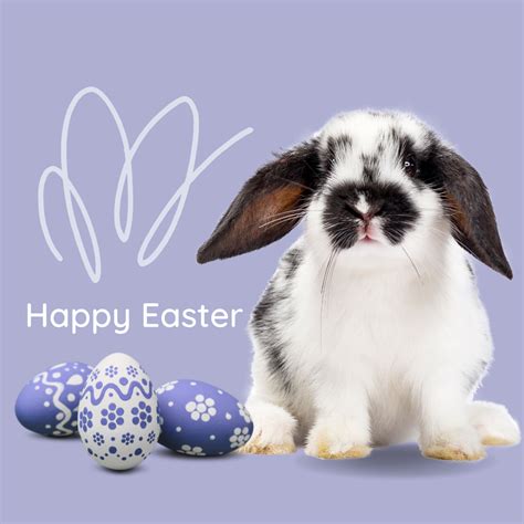 Happy Easter Sunday 2024 - Top 150 Wishes Messages, And Quotes To Share ...