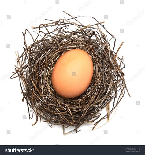 Egg Nest On White Background Stock Photo 540981046 | Shutterstock