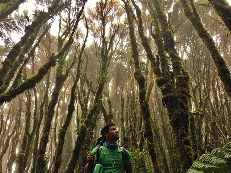 Mindanao Images - Vacation Pictures of Mindanao, Philippines - Tripadvisor